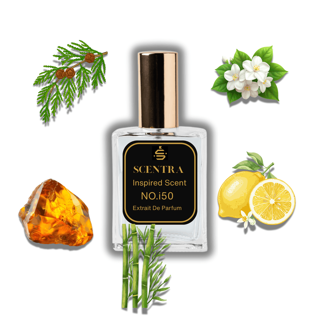 Scentra No.i50 perfume bottle inspired by Dolce & Gabbana Light Blue surrounded by lemon, cedar, jasmine, amber, and bamboo