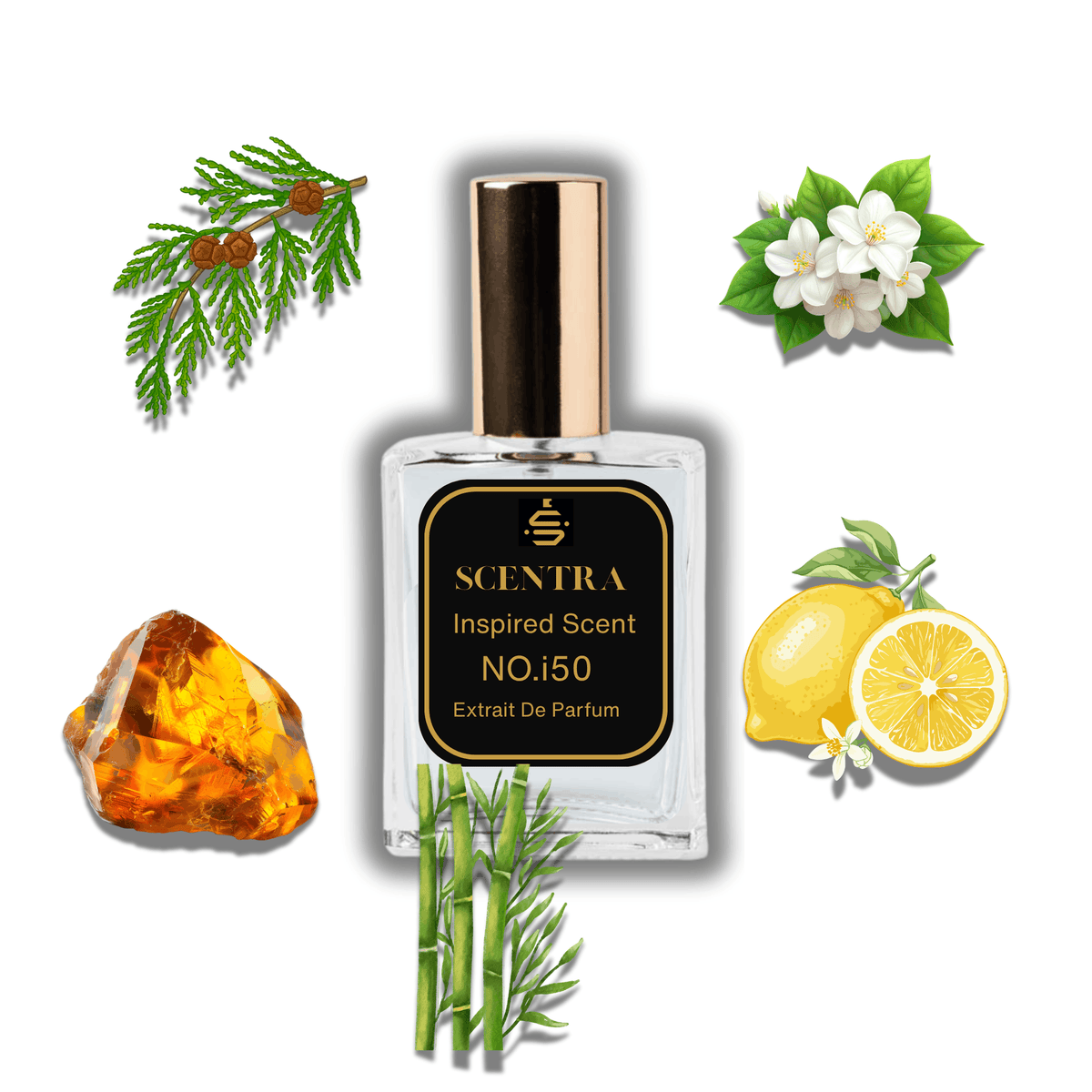 Scentra No.i50 perfume bottle inspired by Dolce & Gabbana Light Blue surrounded by lemon, cedar, jasmine, amber, and bamboo