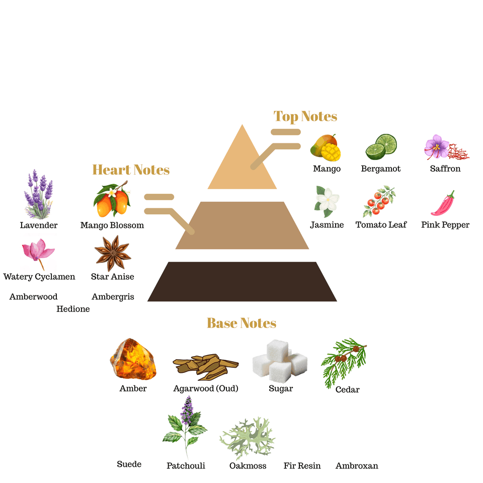 Fragrance note pyramid for Scentra Top Secret 1, showing top, heart, and base notes