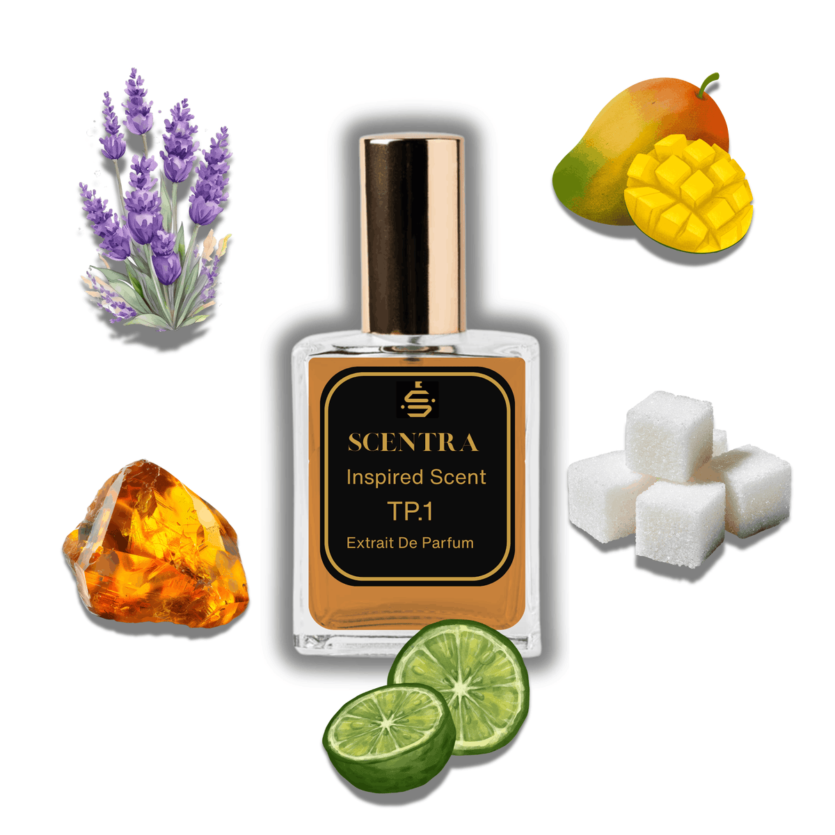 Scentra Top Secret 1 perfume bottle surrounded by sugar, bergamot, amber, mango, and lavender